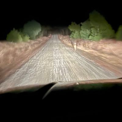 JimmySala's profile picture. 