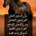 سائر بالاه عنوان (@erha6sndigrptb8) Twitter profile photo سائر بالاه عنوان (@erha6sndigrptb8) Twitter profile photo