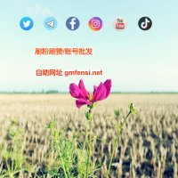 电报频道刷订阅 电报群刷成员 电报会员代开 帖子表情转发量浏览量telegram tg (@bivens_ron) 's Twitter Profile