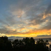 Roberta Burnett (@e0002720) 's Twitter Profile Photo