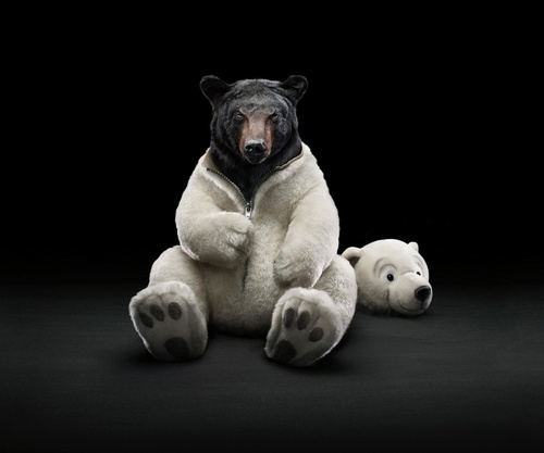 ZachAttackMn's profile picture. 