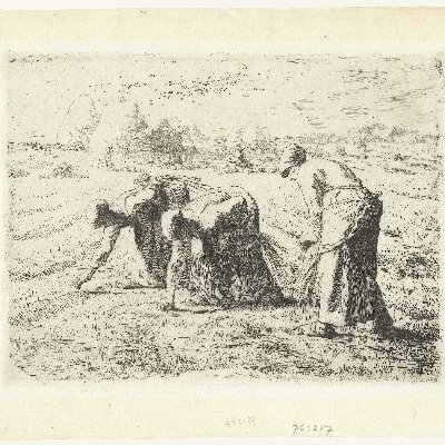 glengleans's profile picture. test test test test test test test test test test test junk