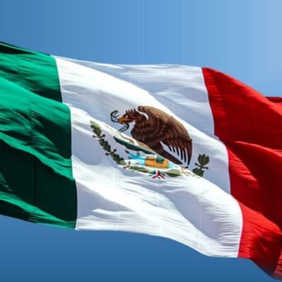 Ateo, lector, antisóccer, antipendejos.
Ni fiesta, brava ni TV.
Anticorrupción.
Ingeniería, Ciencias, TIC, Política.