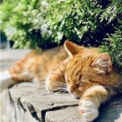 akina1280653's profile picture. お金の豆知識やおトクな情報など共有したりしています。自分がお金に苦労した経験からお金に困っている人の力になれればと思い、少しですが現金プレゼント企画を実施中♪ 期間限定⇒ https://t.co/twkozB1ti8