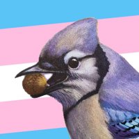 🏳️⚧️michigaynder🏳️🌈 (@michigaynder) 's Twitter Profile