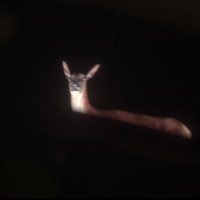 Danny (@dannymcvisuals) 's Twitter Profile Photo Danny (@dannymcvisuals) 's Twitter Profile Photo