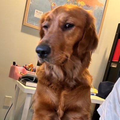 boos_foros's profile picture. Exit liquidity since 2015.