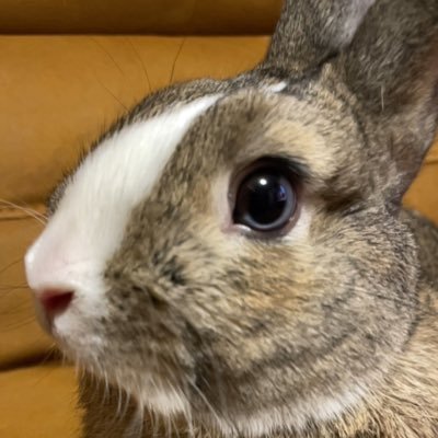 みっつーヒマさん (@1129nakayama_g) / X