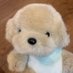 ૮ ◞ ﻌ ◟ ა (@indicadoggie) Twitter profile photo ૮ ◞ ﻌ ◟ ა (@indicadoggie) Twitter profile photo