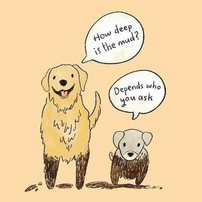 Rooted11_11_11's profile picture. Lover of Freedom and Liberty