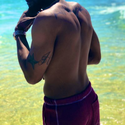 KingStanbitr's profile picture. 