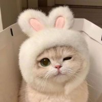 🐰ྀི【固定ツイ必読❕】 (@mm_00_mm0) 's Twitter Profile