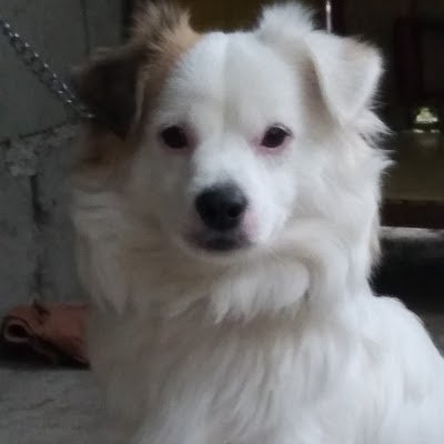 BanjoPanto52636's profile picture. 