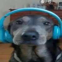 omi (@leonsglock) Twitter profile photo