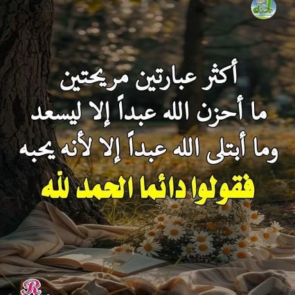 لدي كبرياء يفوق غرورك ...
ولكن ..!
البساطة نقطة ضعفي .