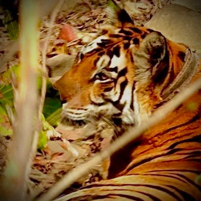 PrakashSal14439's profile picture. 