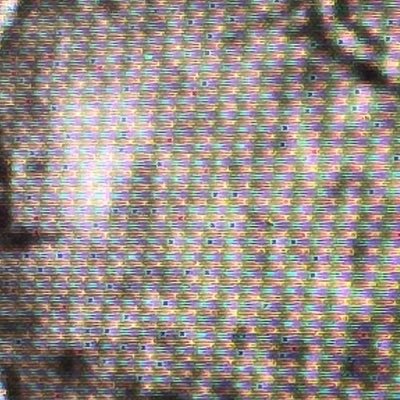 Ptvfan88's profile picture. Yes