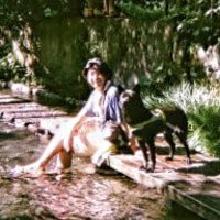 Daiki3835 (@daiki3835) 's Twitter Profile