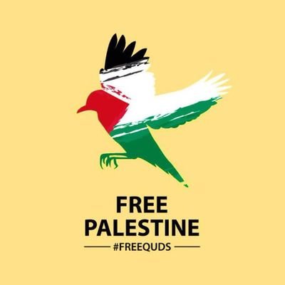 7Akhtarraza's profile picture. 
