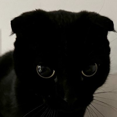 rumusintegral's profile picture. Apa?