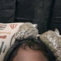 101bckend (@101bckend) 's Twitter Profile