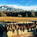 Leon - @RyanRieger14 - Twitter