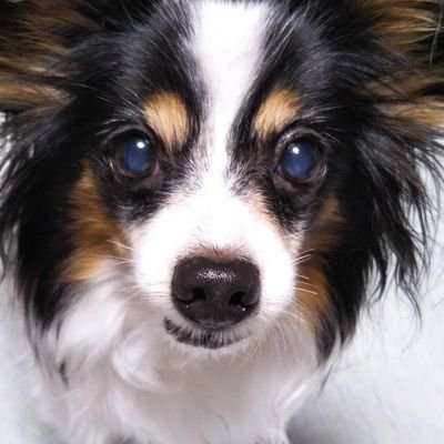 Emikai722T2's profile picture. 名前かわっても
よろしくお願い致します
色々ありました