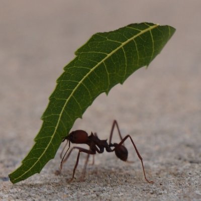 taicaicai's profile picture. nobody
