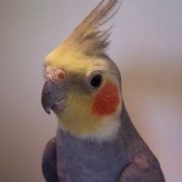 Quarrion (@quarrionc) 's Twitter Profile Photo Quarrion (@quarrionc) 's Twitter Profile Photo