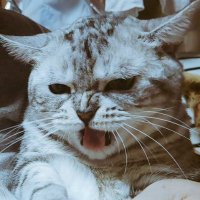 세상거꾸로보기🌱🦁🐬🇰🇷 (@prettybat) 's Twitter Profile