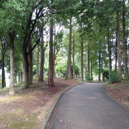 5NZrXTaCf889046's profile picture. 