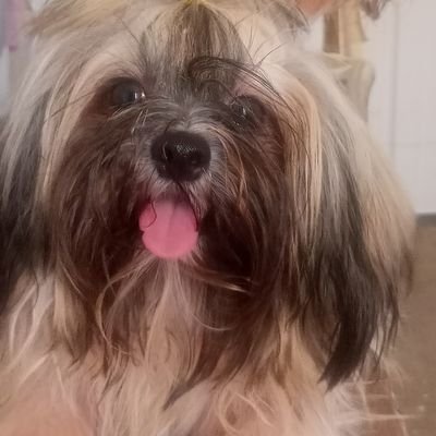 shienna18322's profile picture. 