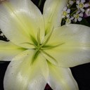 A - @Ashley_Hamby_ - Twitter