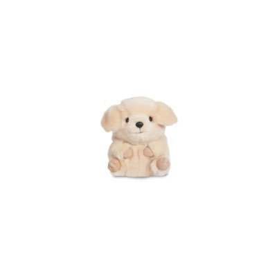 ariwon__'s profile picture.