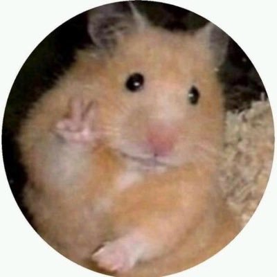 Armin2388's profile picture. 