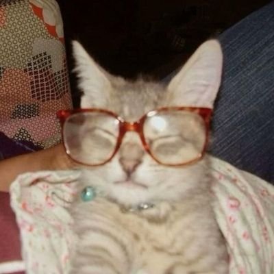 uchukoochu's profile picture. 24 | Multistan | she/her