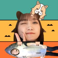 みちあき (@michiaki_kmmt) 's Twitter Profile
