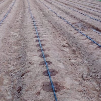 DriptechF23439's profile picture. 