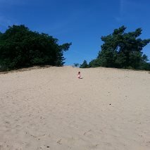 DenIwan87399's profile picture. 