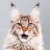 Samcrypto (@samsona2001932) Twitter profile photo Samcrypto (@samsona2001932) Twitter profile photo