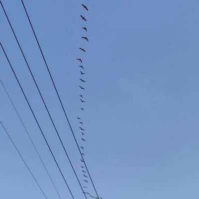 公務員志望 26卒 県庁採用予定 第一志望国税なので県庁で働きながら再チャレンジします!情報交換しましょう! 日常のことも呟きます