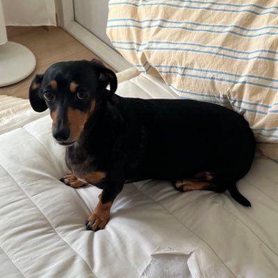 _cIoudnine's profile picture. 