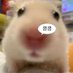 호구녀 (@ddangmucarrot10) Twitter profile photo 호구녀 (@ddangmucarrot10) Twitter profile photo