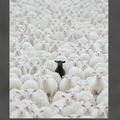 Atunlese1's profile picture. 