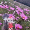 weloverada's profile picture. カードキャプターさくらクリアカード編を見ろbot @seisubasugoi