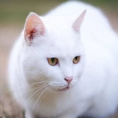 Web3 Enthusiast | BIO Protocol Supporter
Exploring DeSci and Blockchain