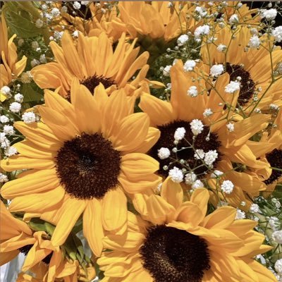 kd51kp199912343's profile picture. 光一くんとキンプリを応援してます♪