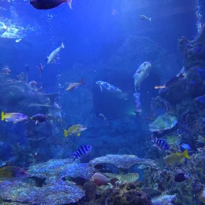 Ryu_cgr's profile picture. ゲーム好き。
FPSとか色々。
1020
@mql2i