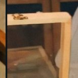 bag026's profile picture. 