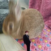 🐰まなてぃ🐰 (@xu__usa) 's Twitter Profile Photo